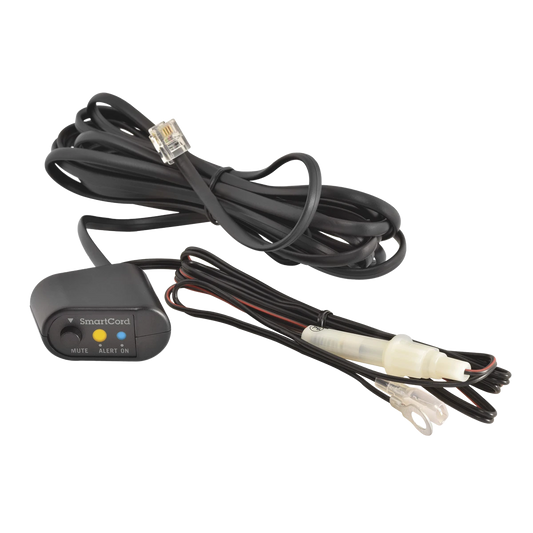 SMARTDIRECTW-BL